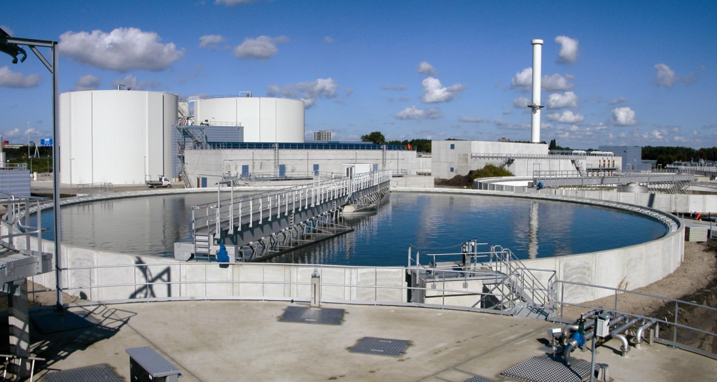 STP Plant 1024x546 1