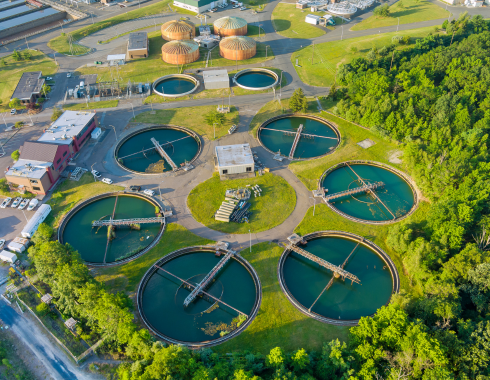 Untitled design 2025 07 24T111510.141