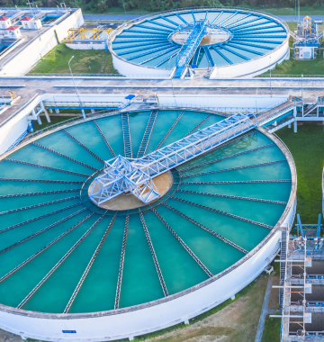 Untitled design 2025 07 24T153419.988