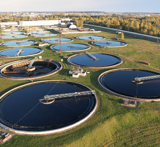 Untitled design 2025 07 24T154903.212