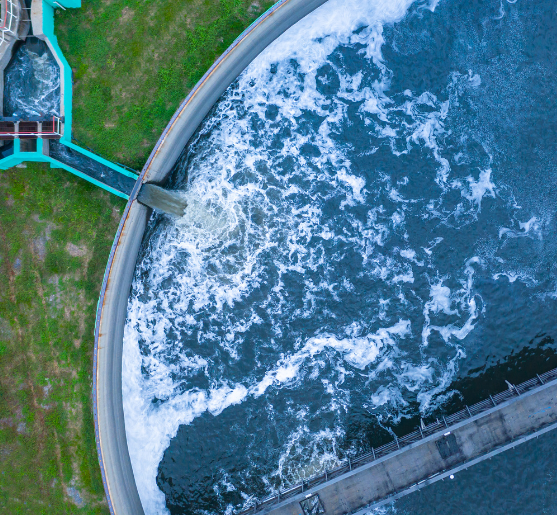 Untitled design 2025 07 24T160325.687